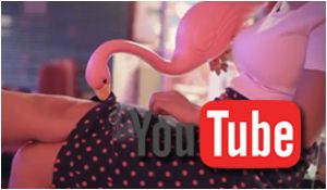 PinkFlamingo na Youtube